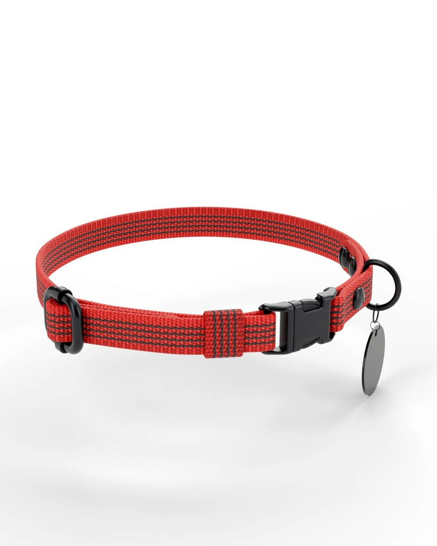 Walk KIT