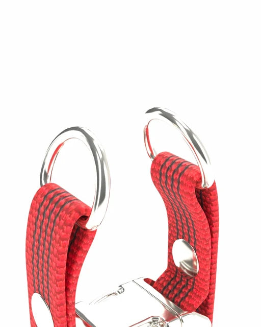 D-gyűrűk