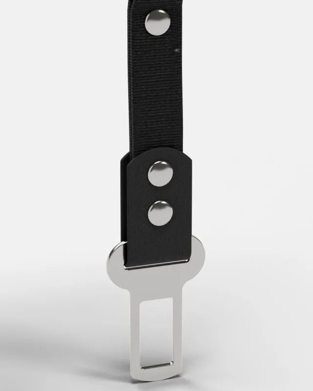 Drive Module: Autó