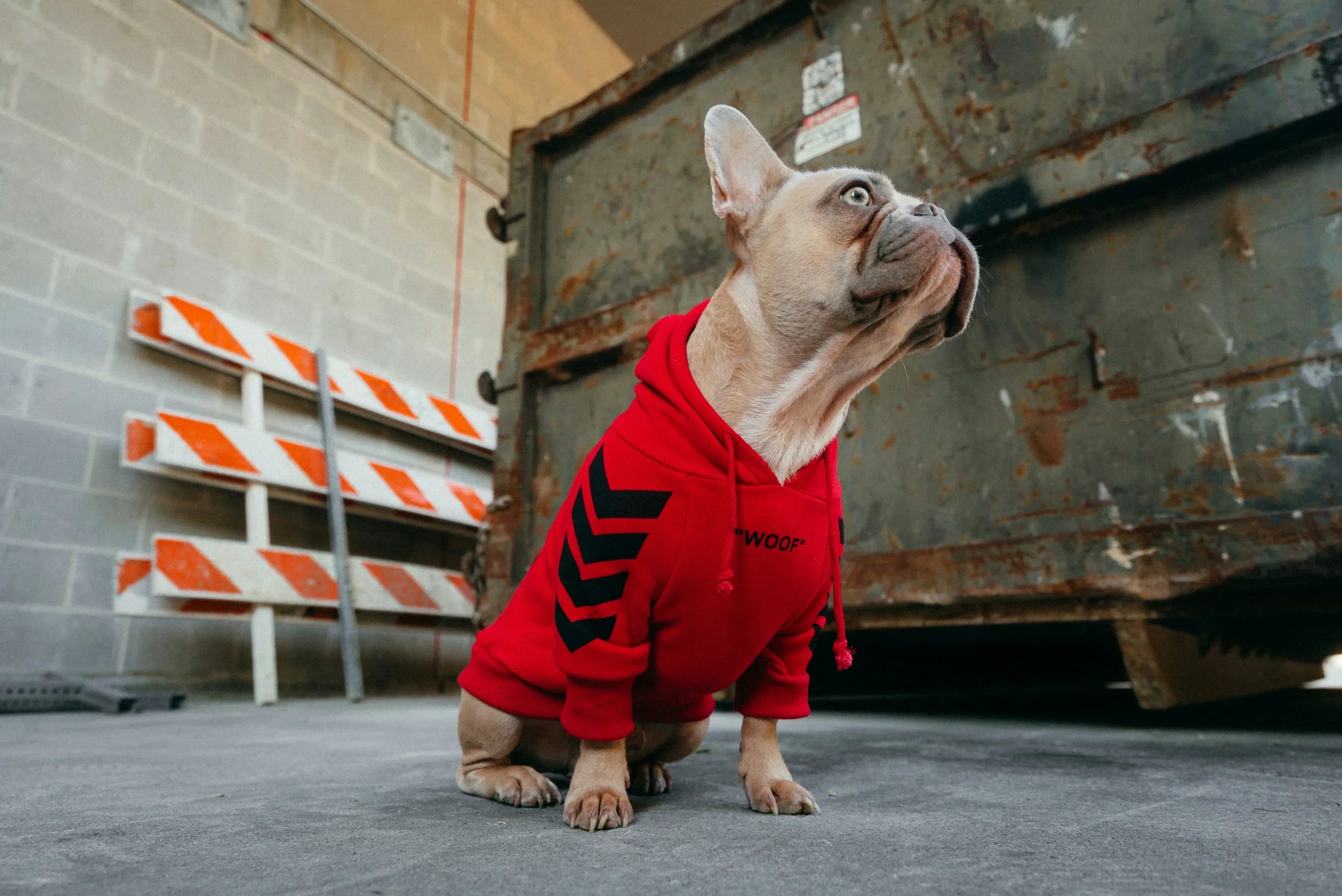 Red Like Memory: A Collar That Holds Meaning