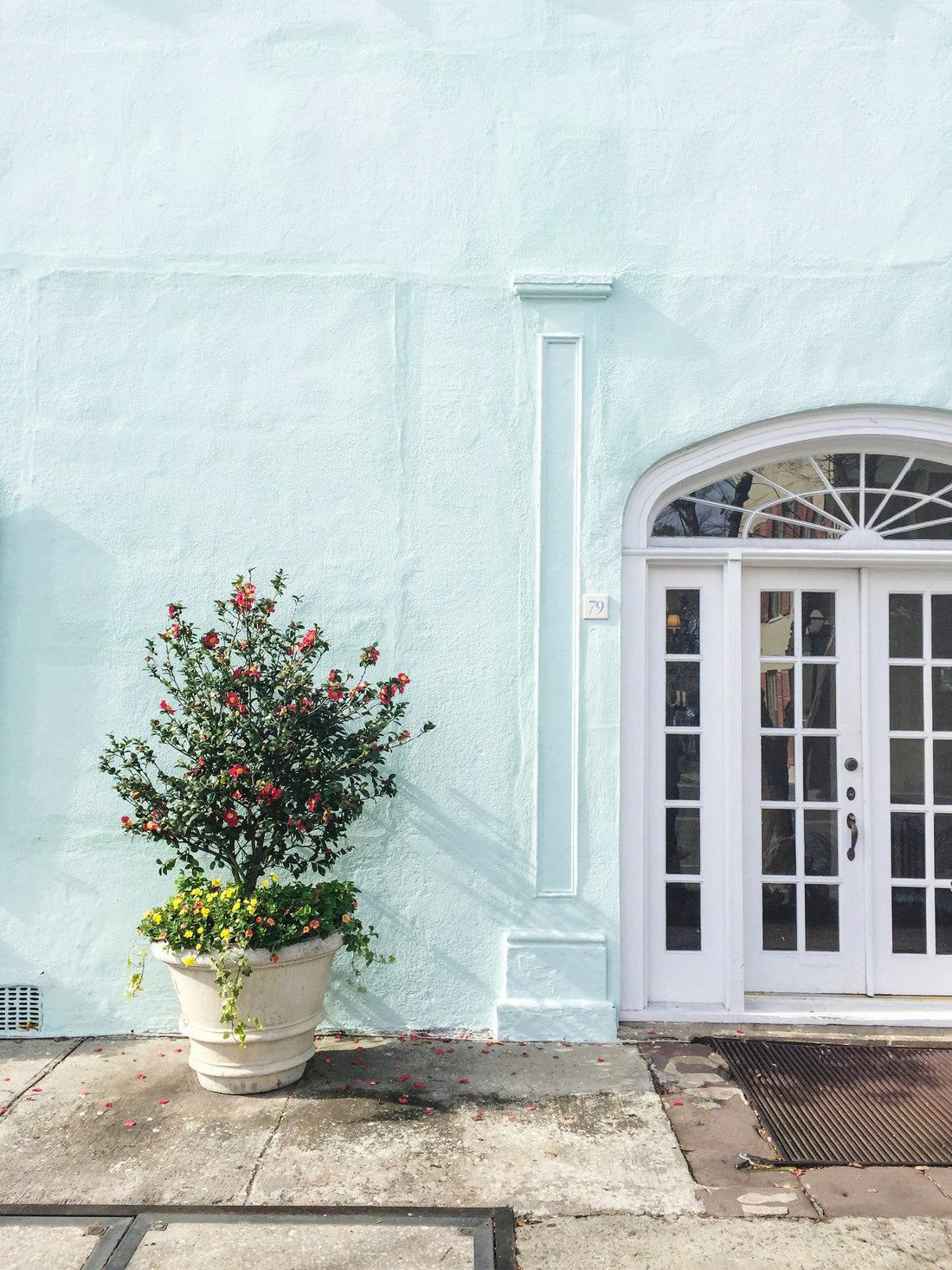 Mint Green: A Color That Breathes in Nature