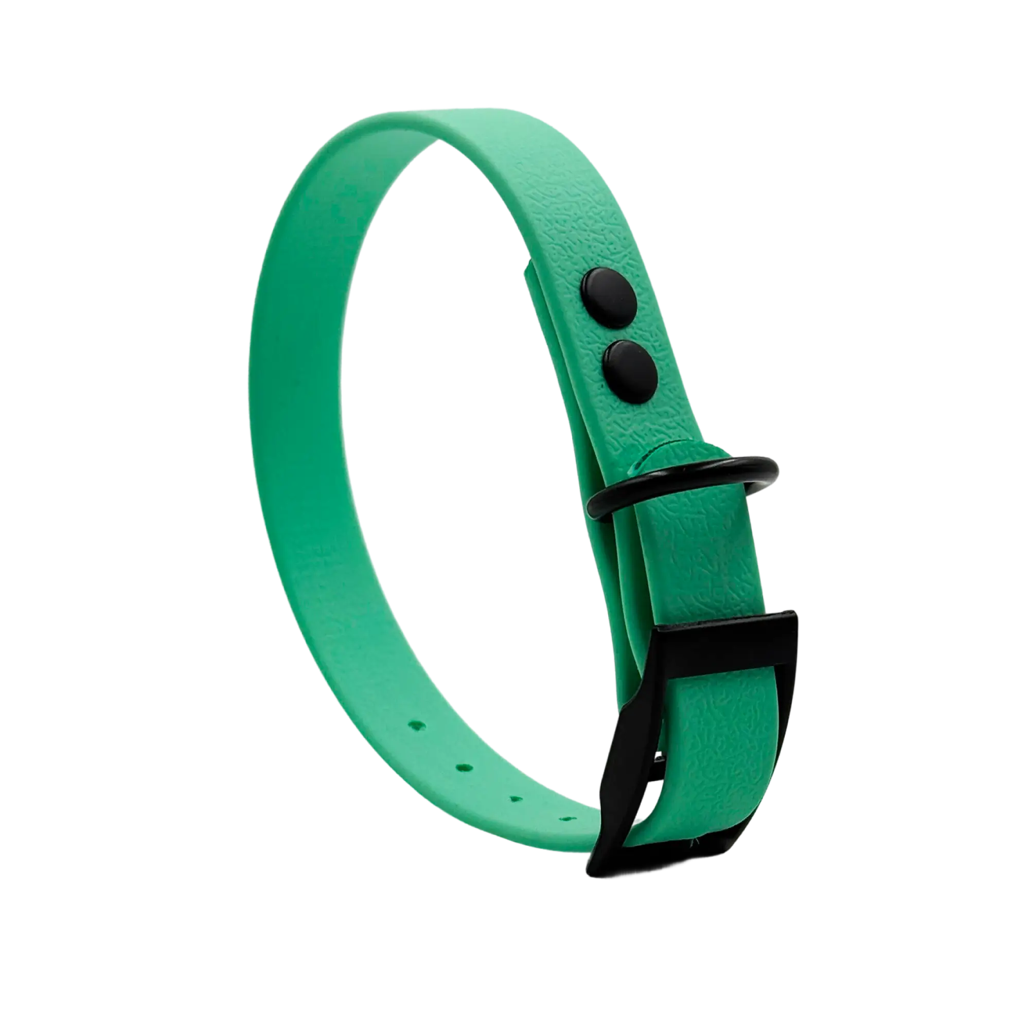 Nyakörv MONO • Karibi Zöld