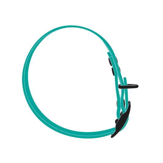 Collar MONO | Matte Black • Pastel Green