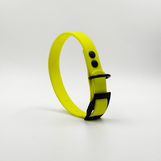 Nyakörv MONO • Neon Sárga