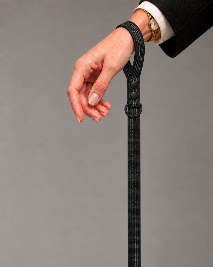 Leash BASIC, Black / Black, kutyán