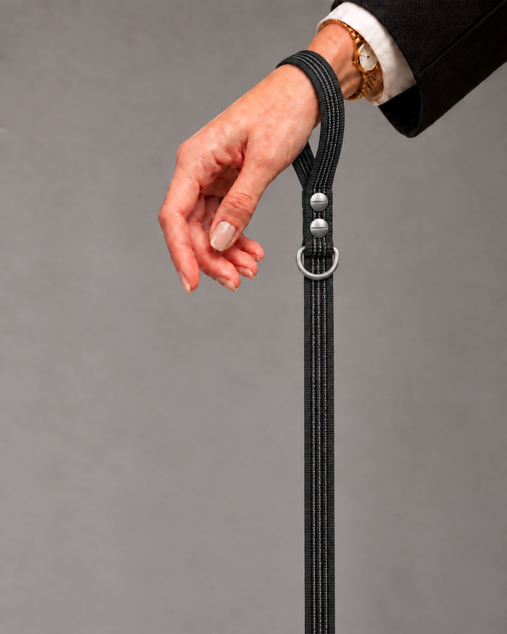 Leash BASIC, Black / Stainless Steel, kutyán