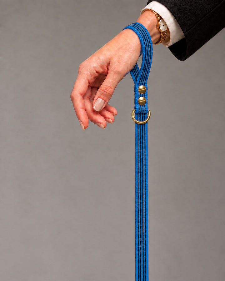 Leash BASIC, Blue / Brass, kutyán