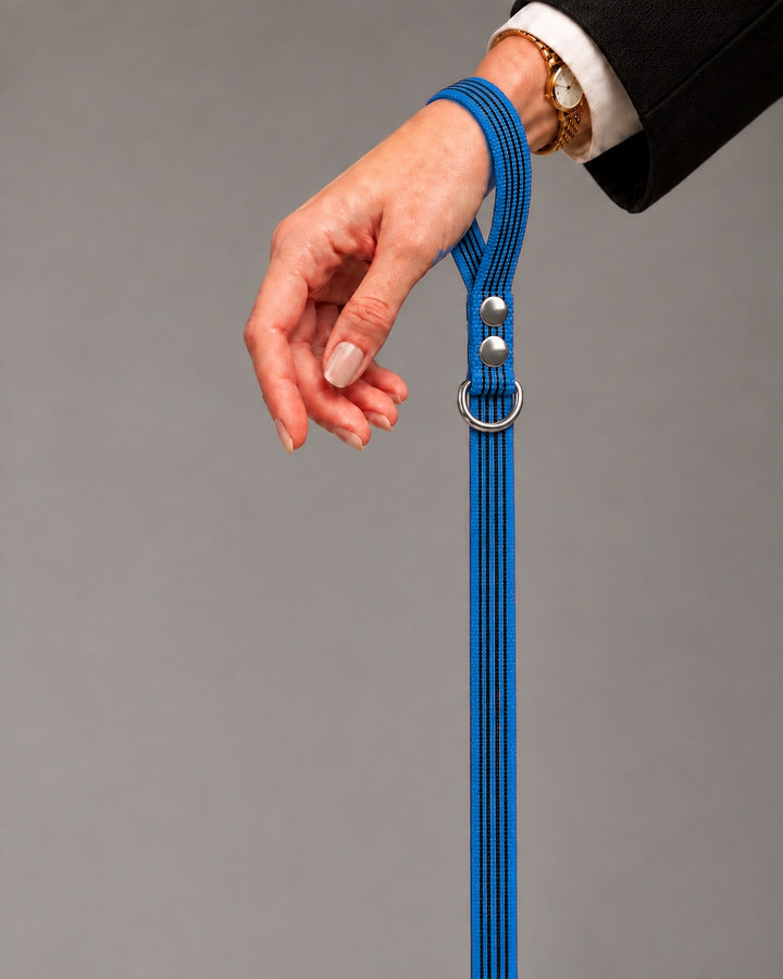 Leash BASIC, Blue / Silver, kutyán