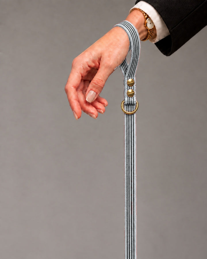 Leash BASIC, Gray / Brass, kutyán