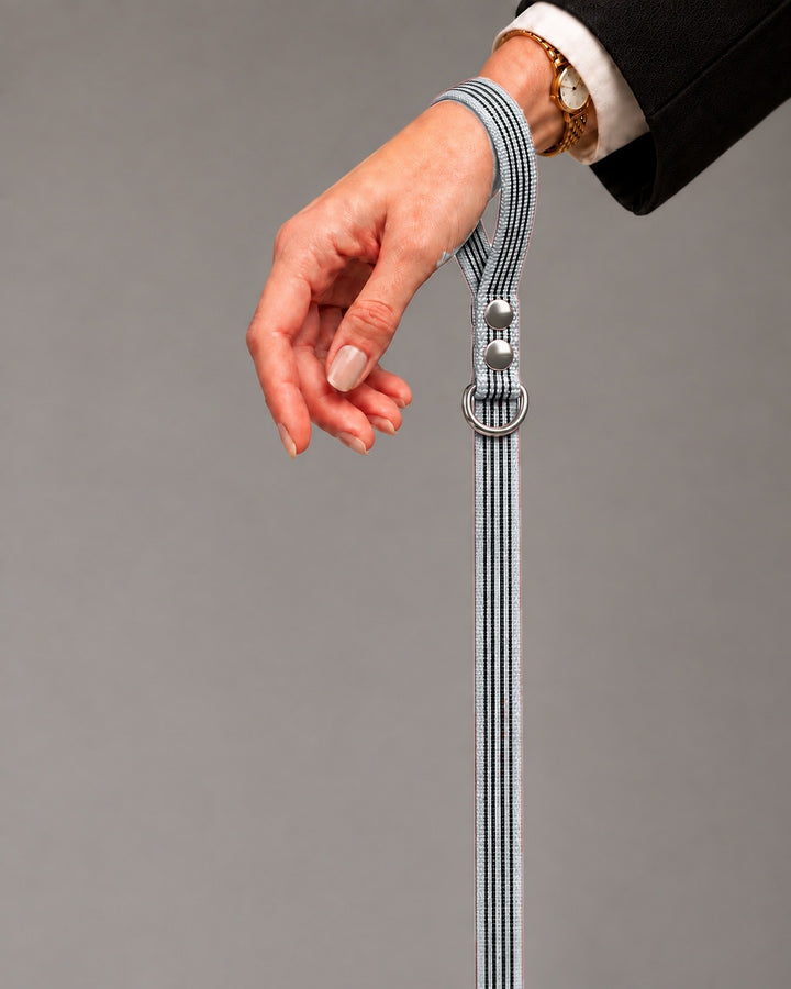 Leash BASIC, Gray / Silver, kutyán