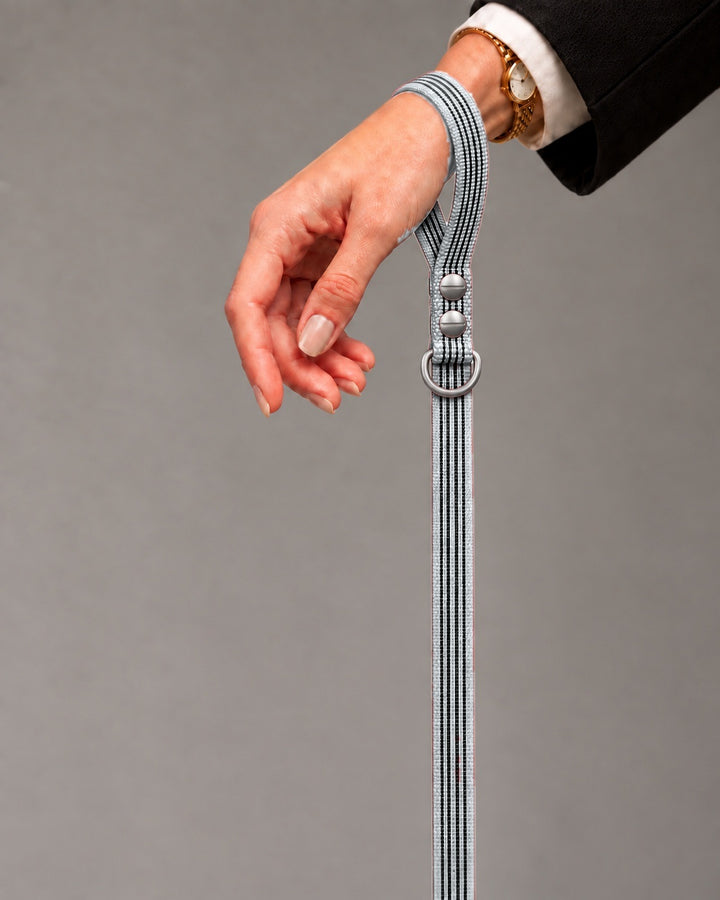 Leash BASIC, Gray / Stainless Steel, kutyán