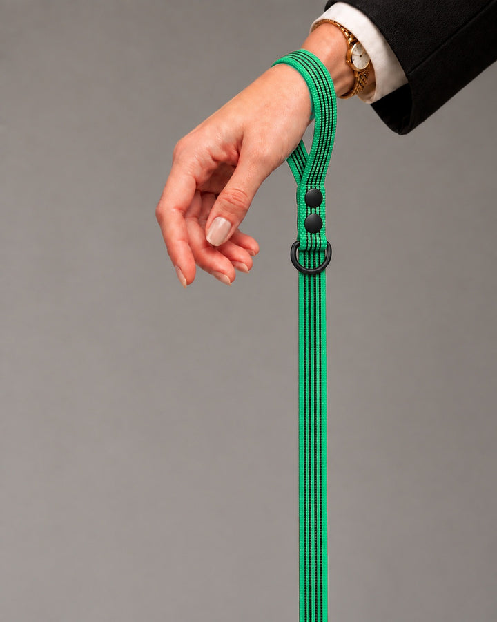 Leash BASIC, Green / Black, kutyán