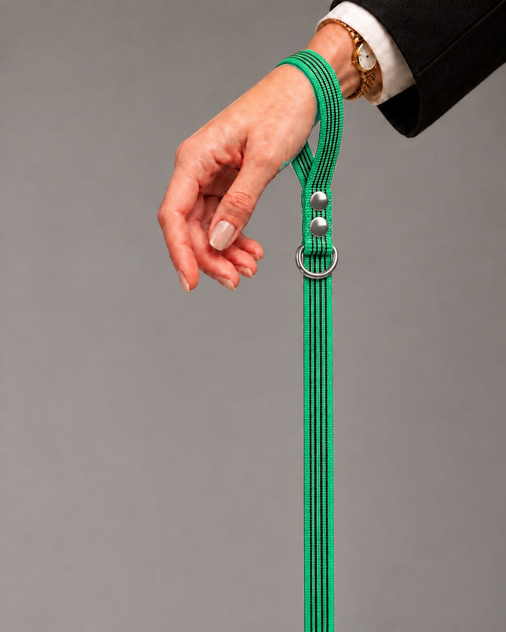 Leash BASIC, Green / Silver, kutyán