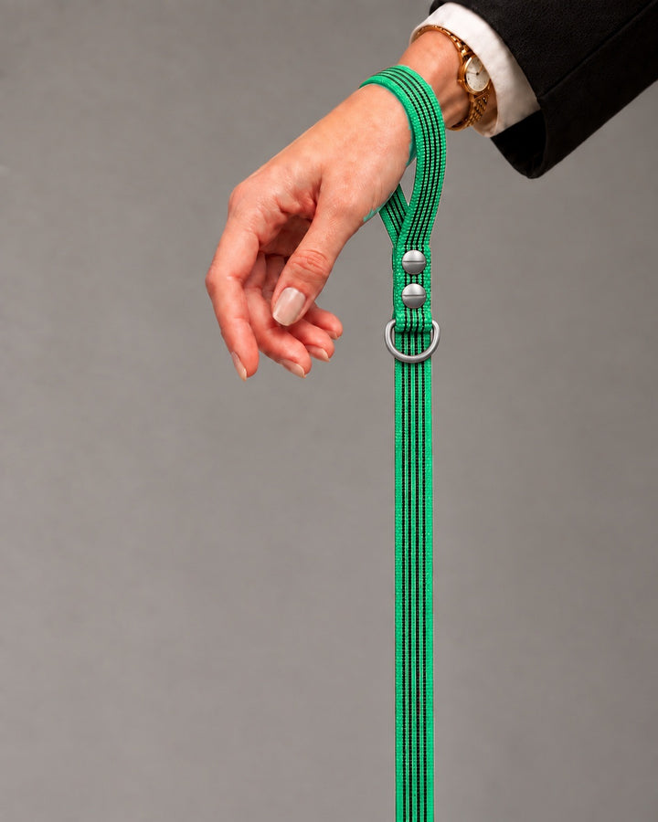 Leash BASIC, Green / Stainless Steel, kutyán