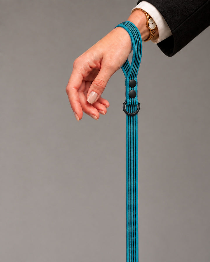 Leash BASIC, Kerosene / Black, kutyán