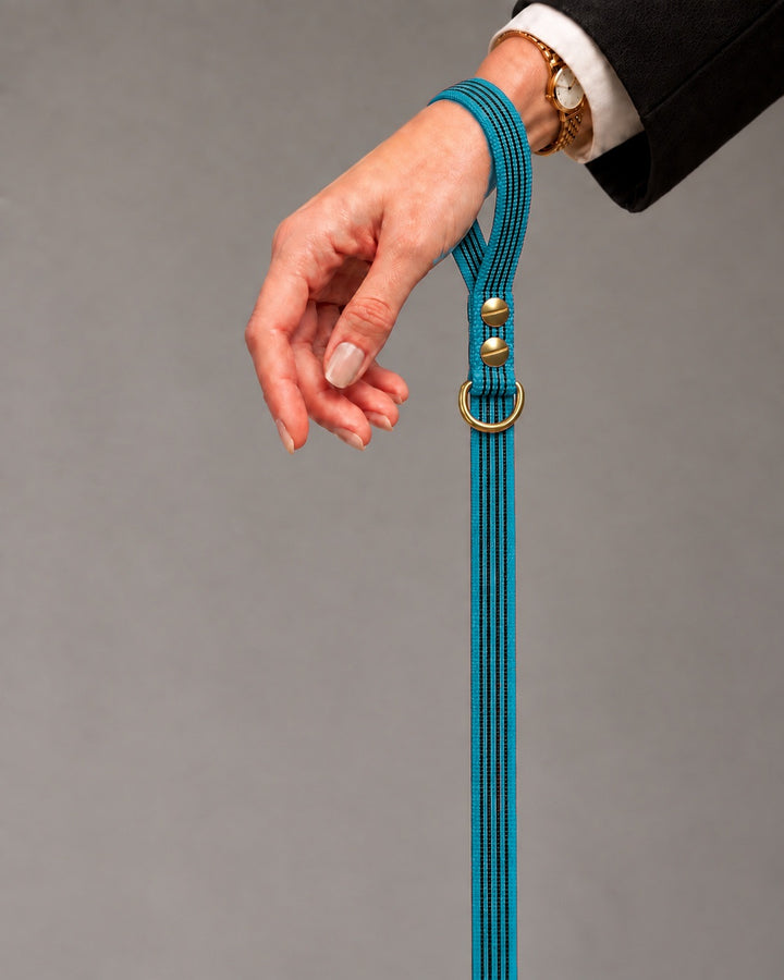 Leash BASIC, Kerosene / Brass, kutyán