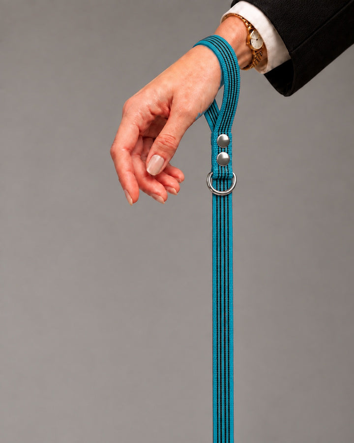Leash BASIC, Kerosene / Silver, kutyán