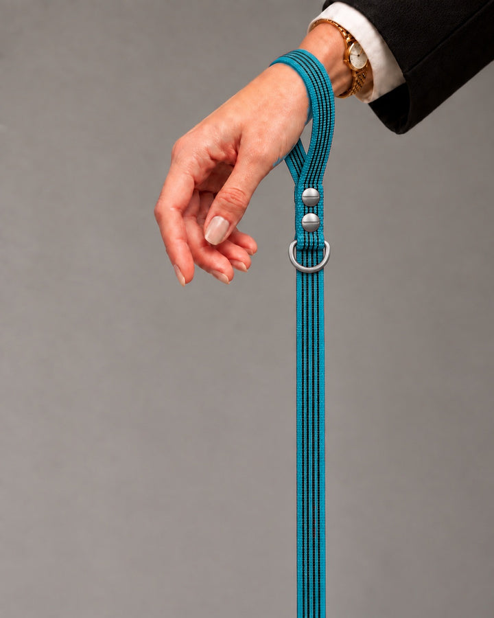 Leash BASIC, Kerosene / Stainless Steel, kutyán