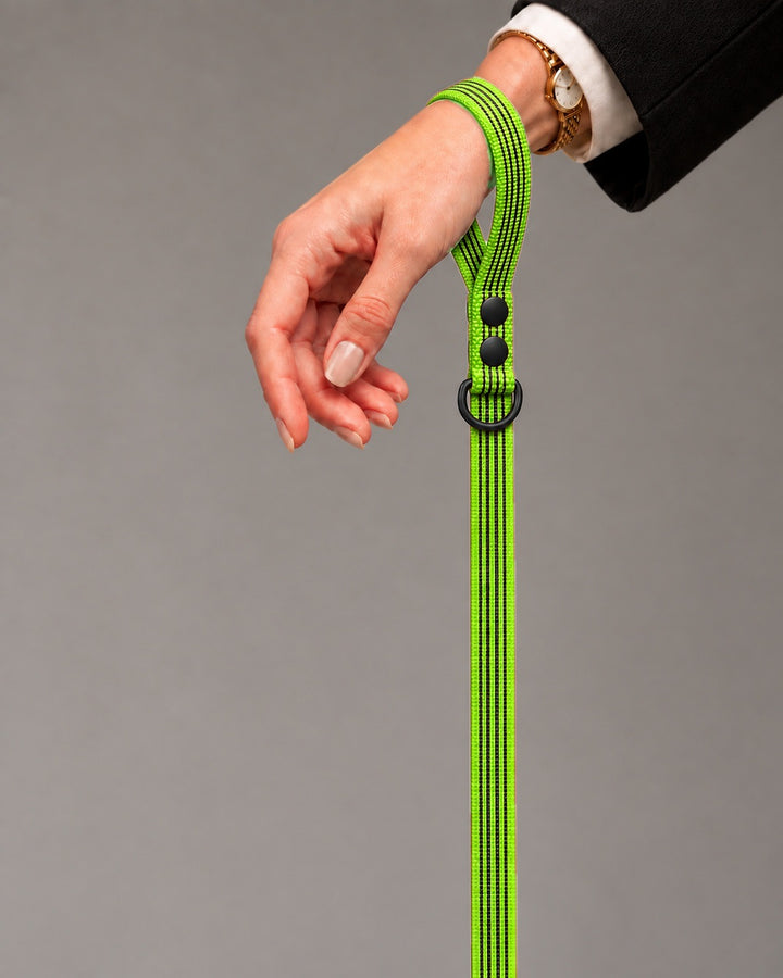 Leash BASIC, Lime / Black, kutyán