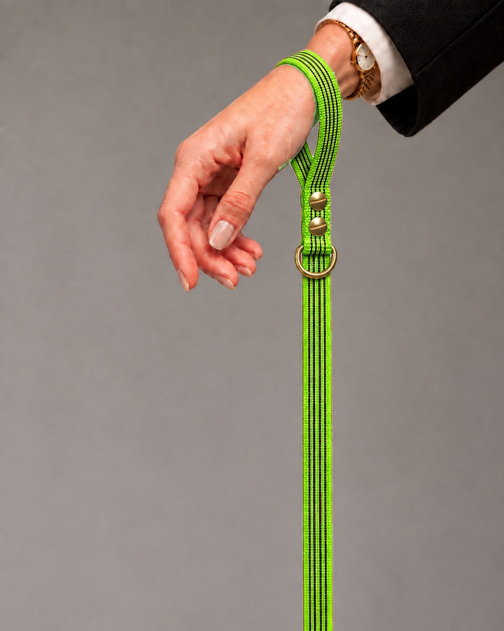 Leash BASIC, Lime / Brass, kutyán
