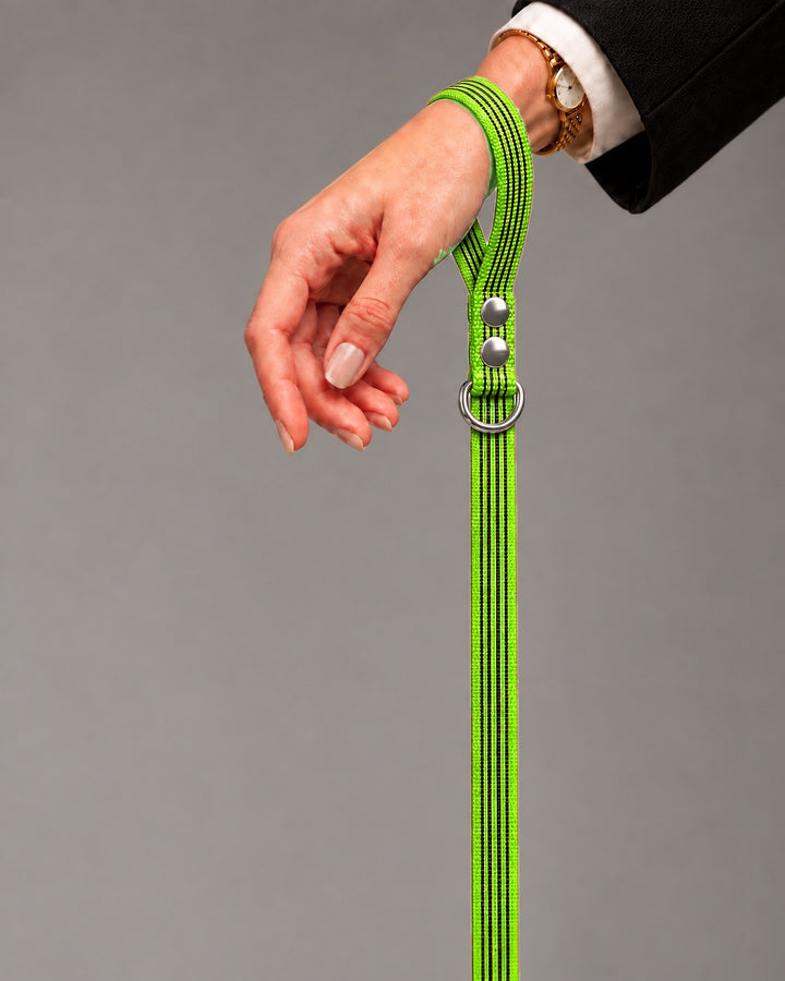 Leash BASIC, Lime / Silver, kutyán