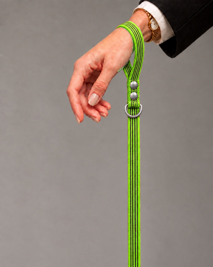 Leash BASIC, Lime / Stainless Steel, kutyán