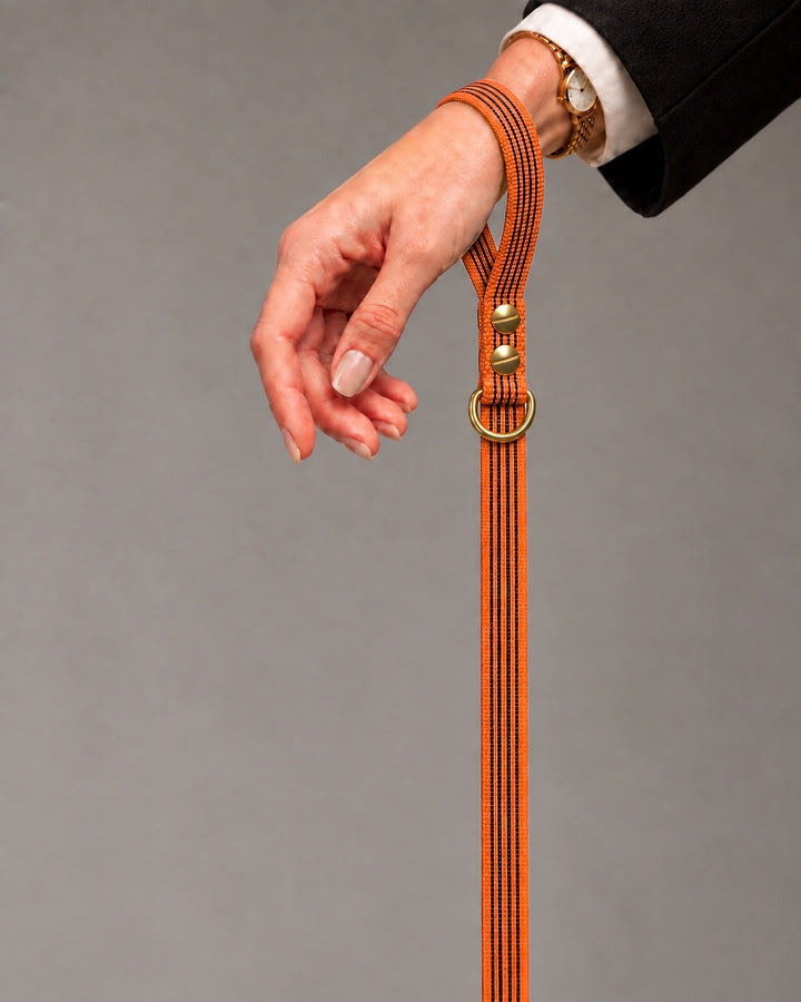 Leash BASIC, Orange / Brass, kutyán