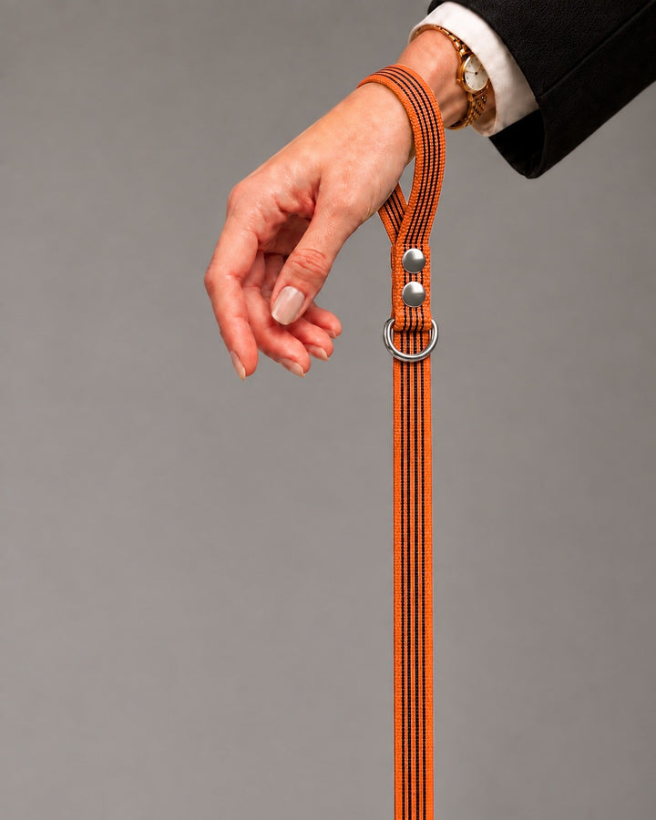 Leash BASIC, Orange / Silver, kutyán
