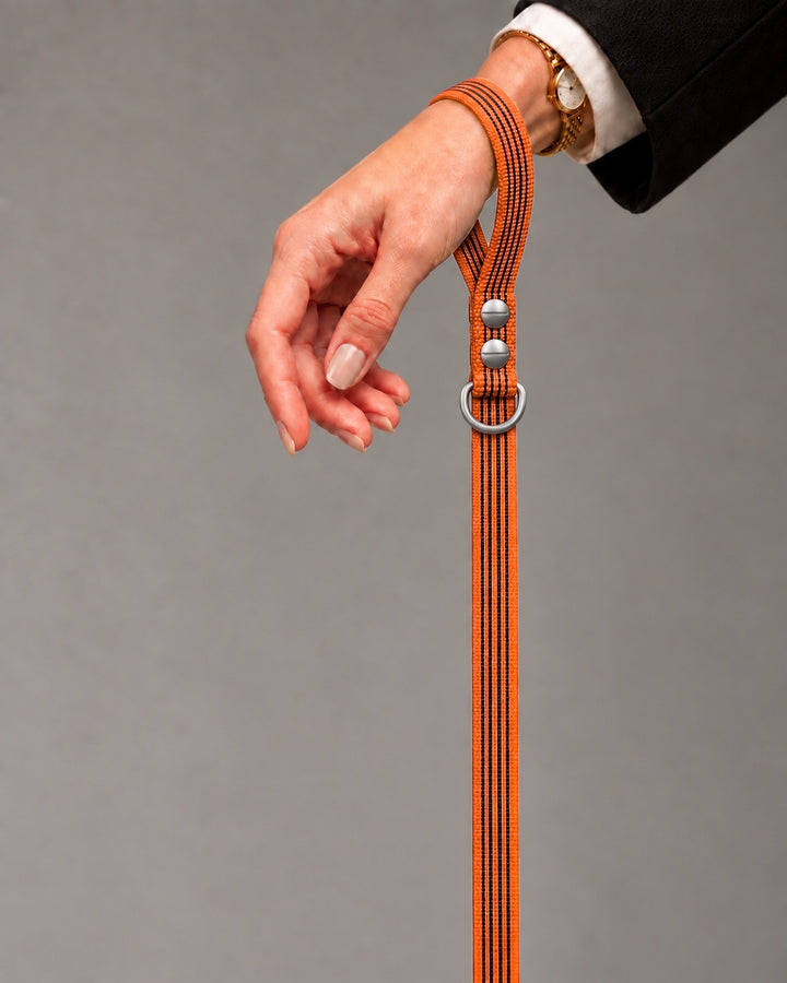 Leash BASIC, Orange / Stainless Steel, kutyán