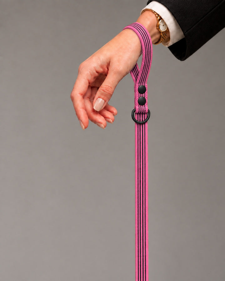 Leash BASIC, Pink / Black, kutyán