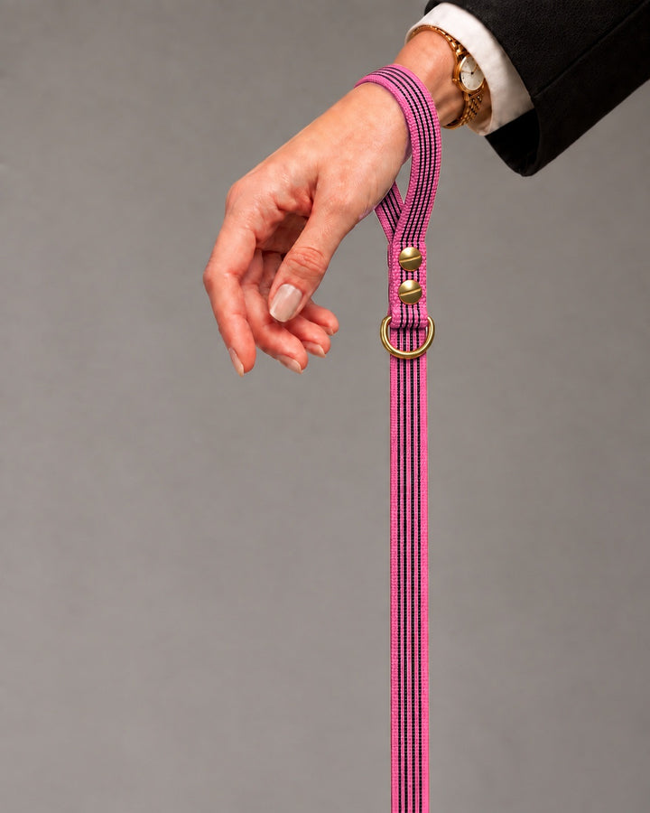 Leash BASIC, Pink / Brass, kutyán