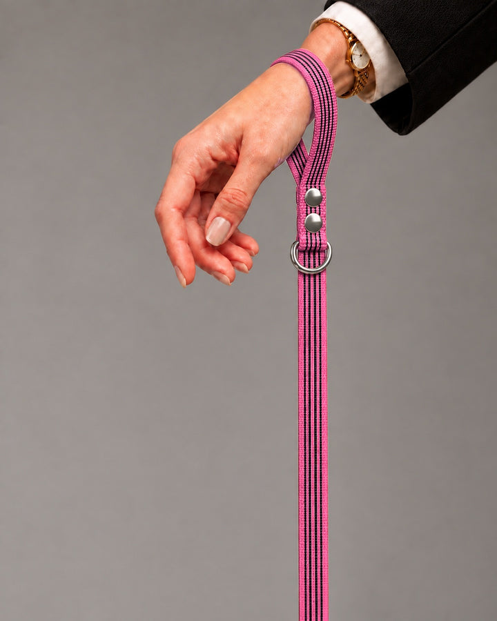 Leash BASIC, Pink / Silver, kutyán