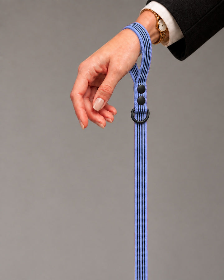 Leash BASIC, Purple / Black, kutyán