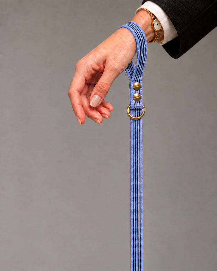 Leash BASIC, Purple / Brass, kutyán