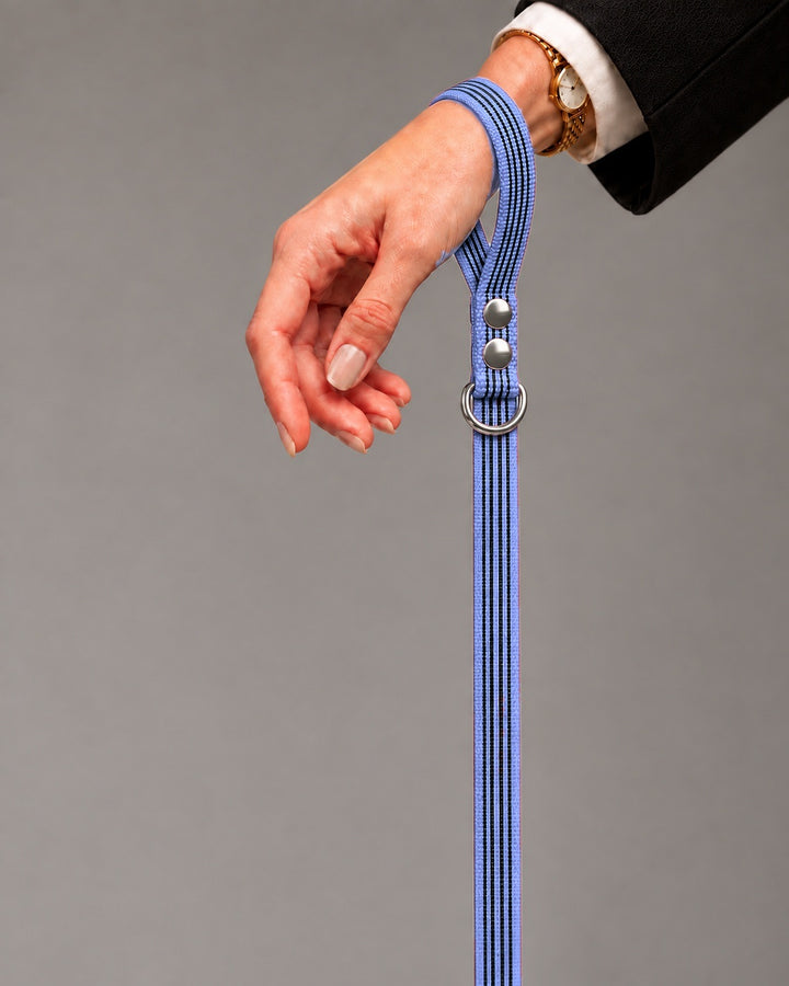 Leash BASIC, Purple / Silver, kutyán