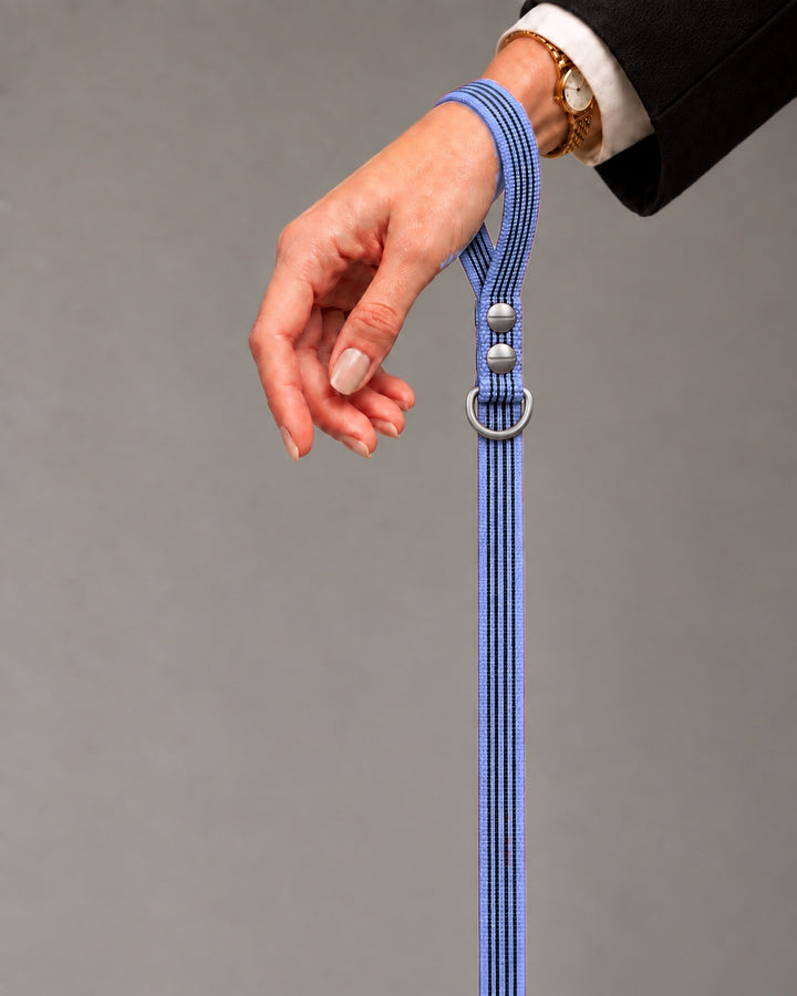 Leash BASIC, Purple / Stainless Steel, kutyán