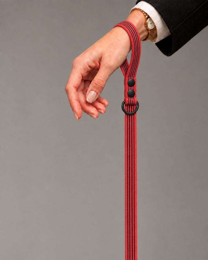 Leash BASIC, Red / Black, kutyán
