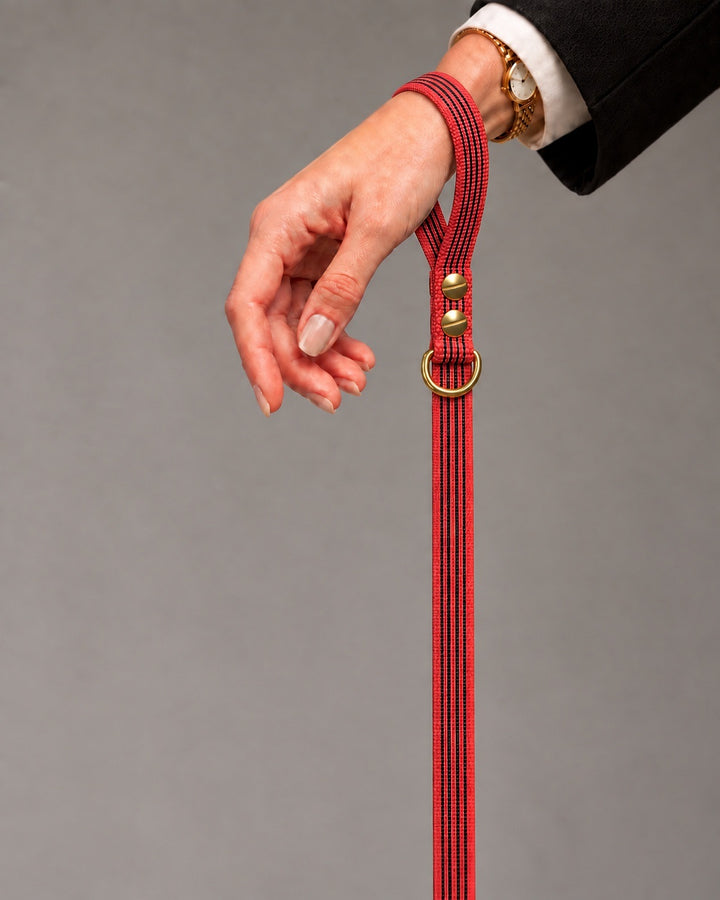 Leash BASIC, Red / Brass, kutyán