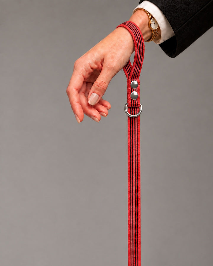 Leash BASIC, Red / Silver, kutyán