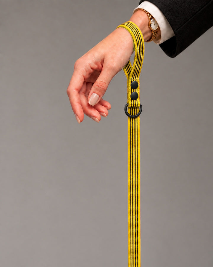 Leash BASIC, Yellow / Black, kutyán