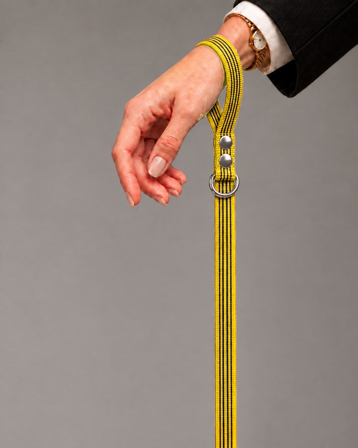 Leash BASIC, Yellow / Silver, kutyán