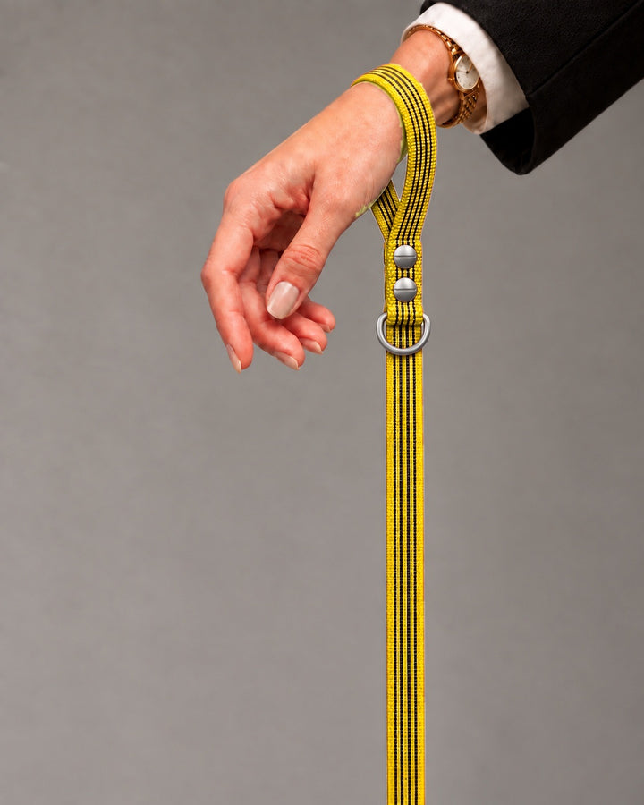 Leash BASIC, Yellow / Stainless Steel, kutyán