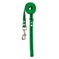 Green dog leash with metal clip on a white background