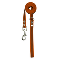 Orange dog leash with metal clip on a white background