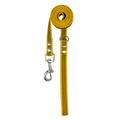 Yellow dog leash with metal clip on a white background