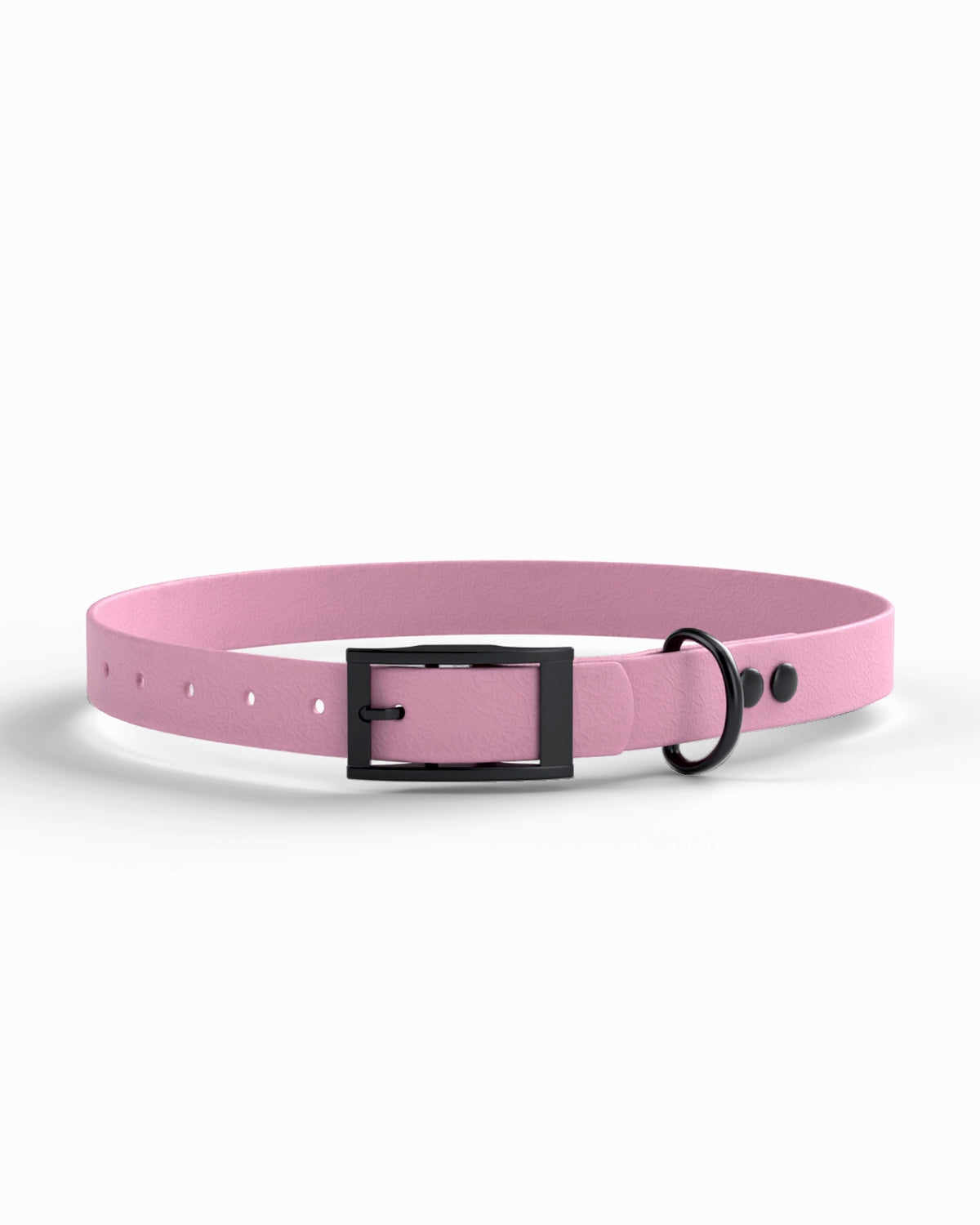 Lavender / Black | 1 front