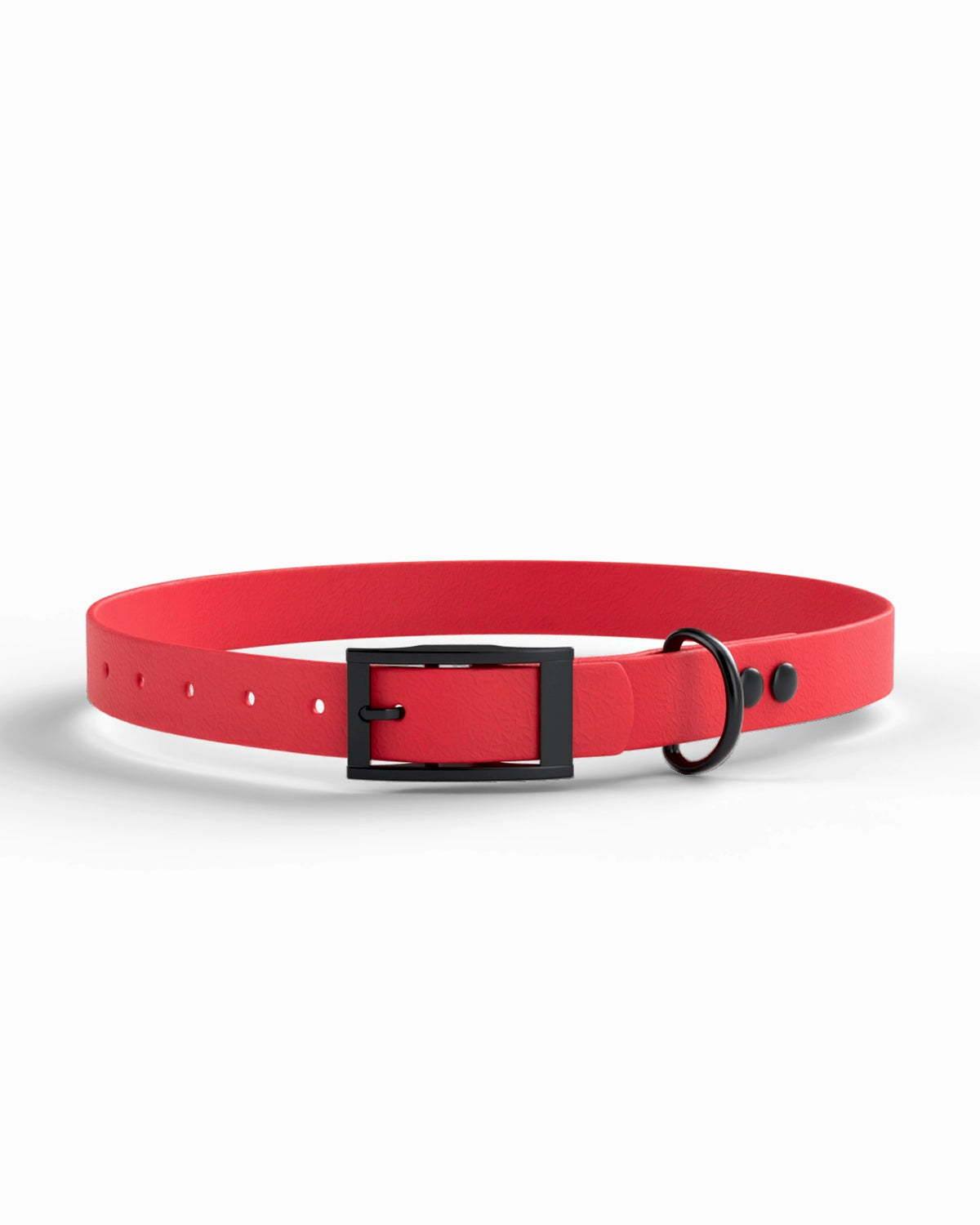 Red / Black | 1 front
