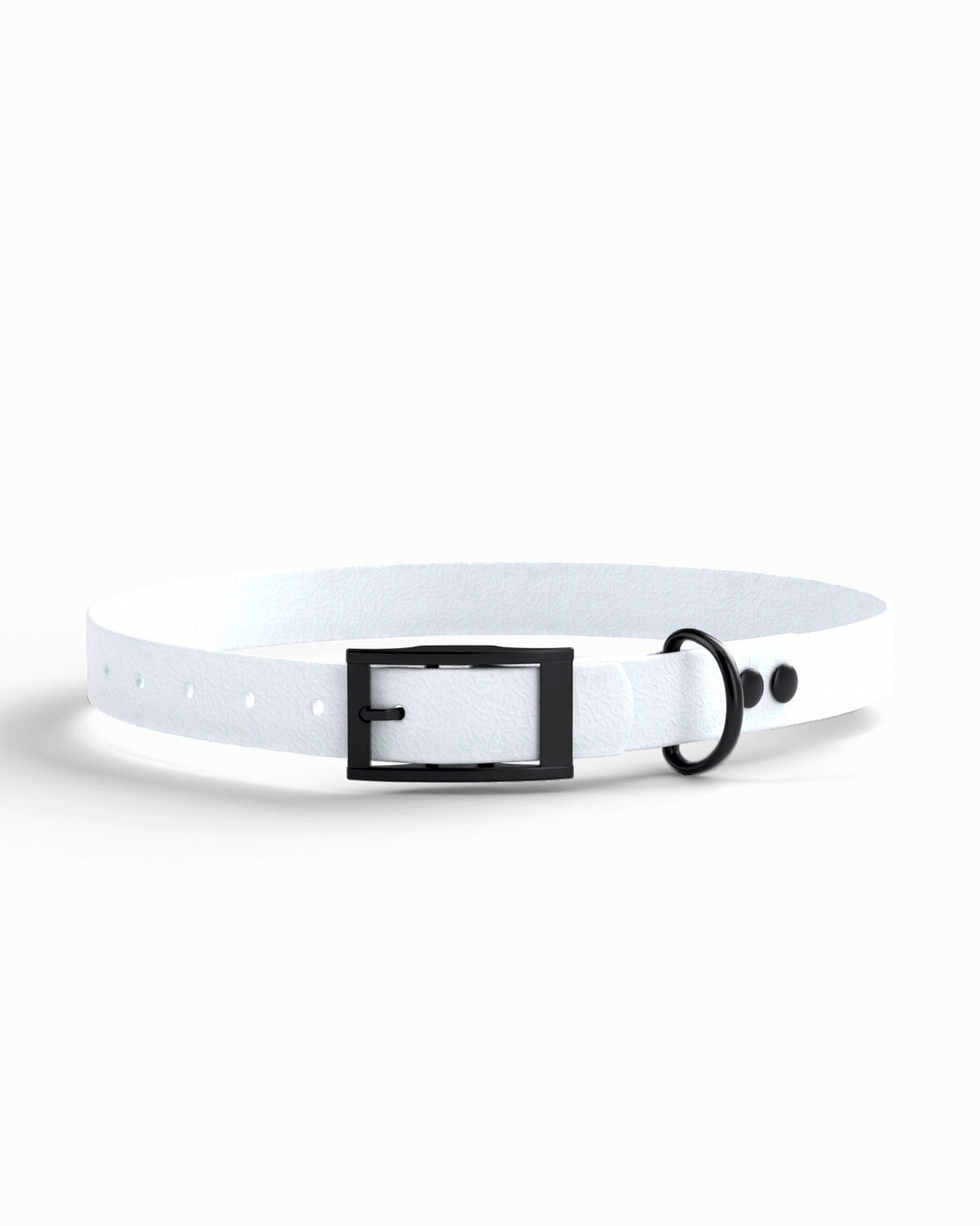 White / Black | 1 front