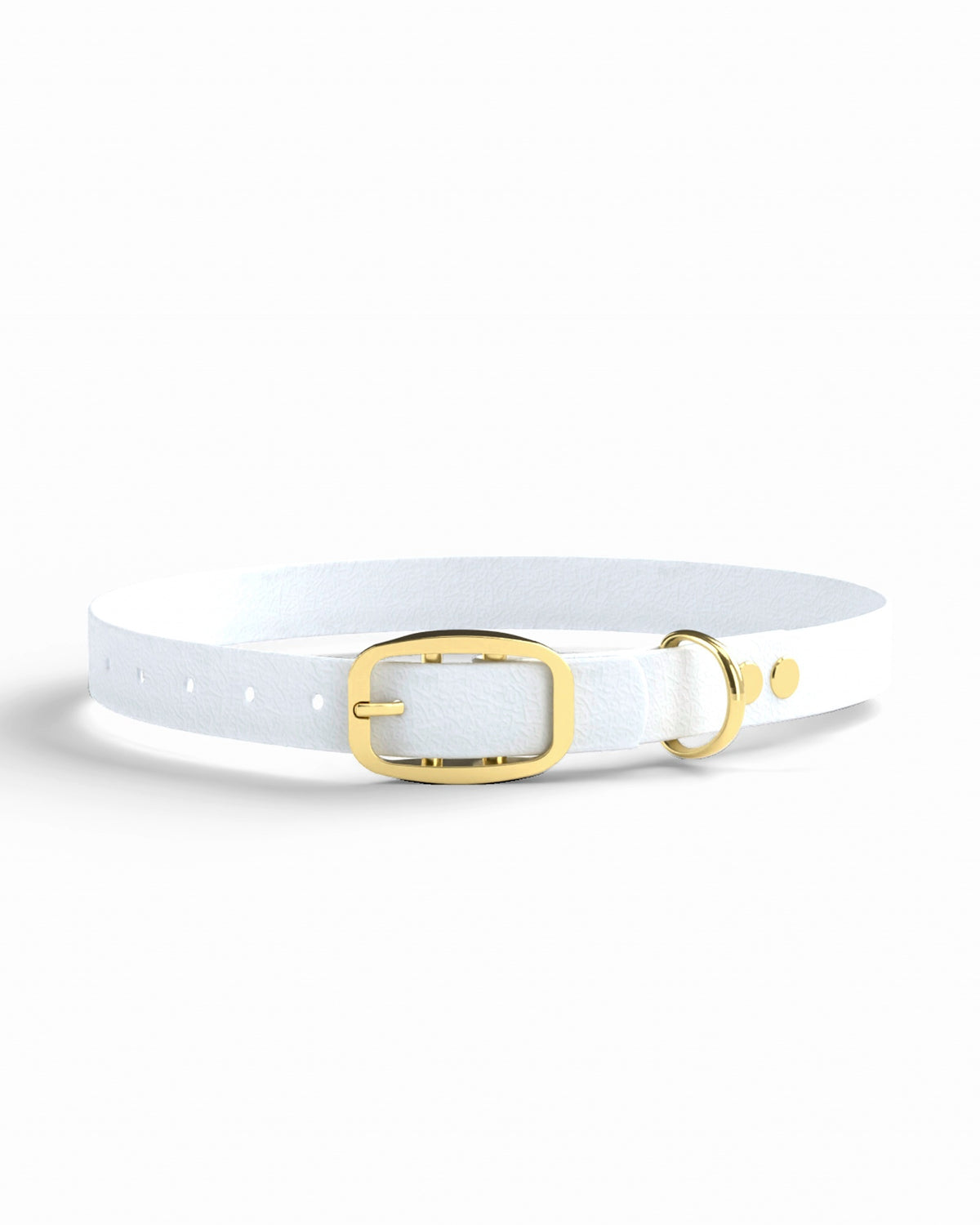 White / Brass | 1 front