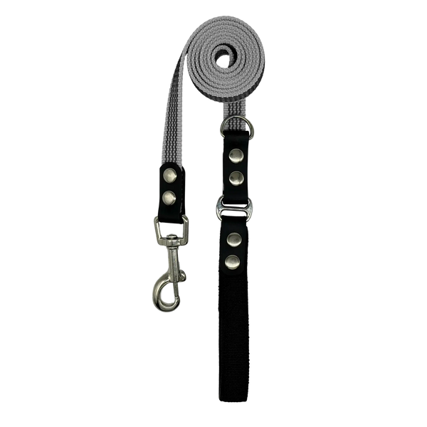 Dog leash with black handle and silver hardware on a white background